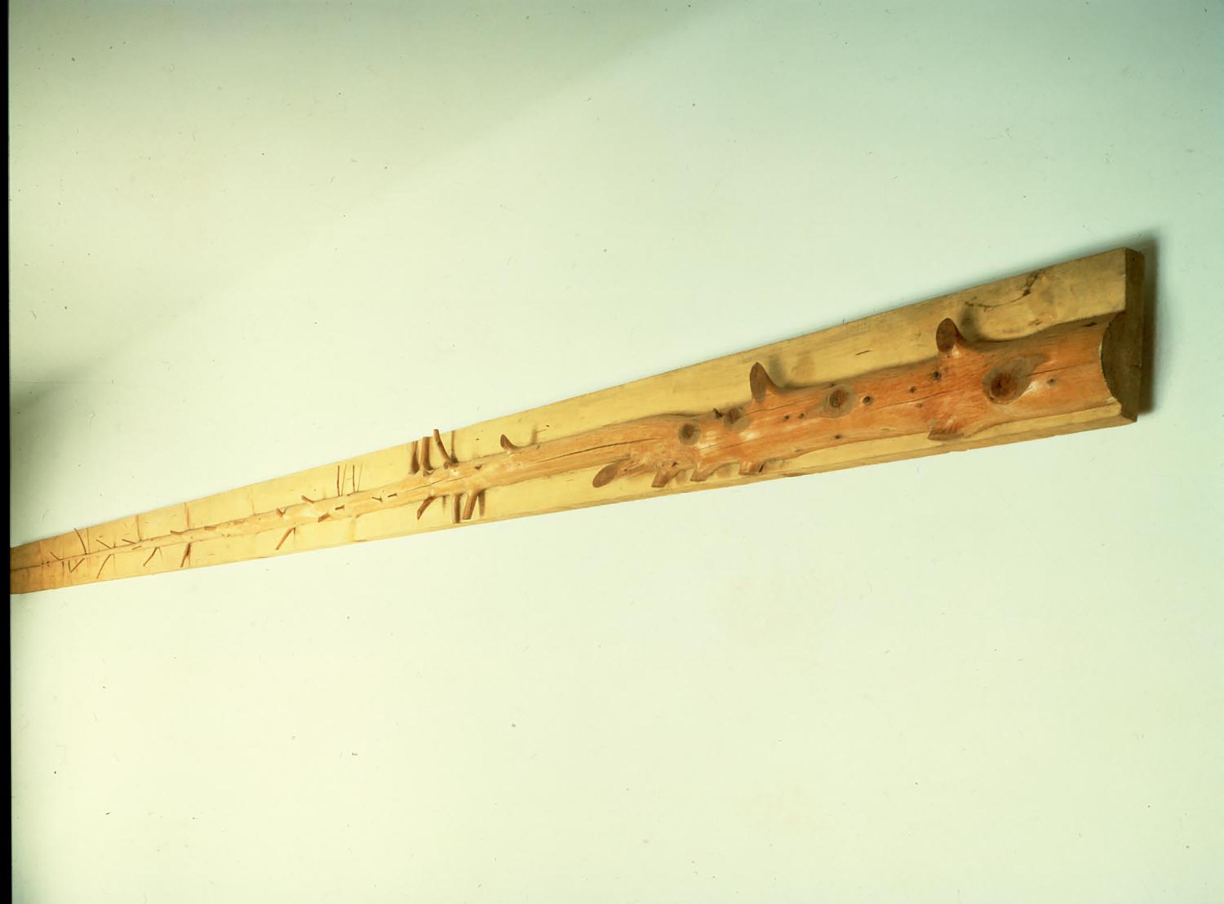 Giuseppe Penone, Albero di 5 metri, 1969-70